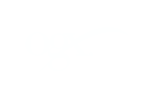 Logos_0009_Logo-OGX-01