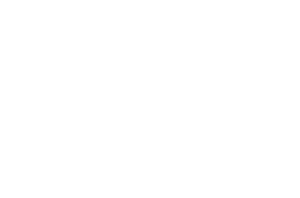 Logos_0013_Logo-Mirgor