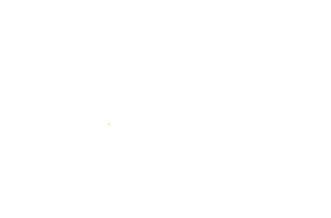 Logos_0014_Logo-Mastercard