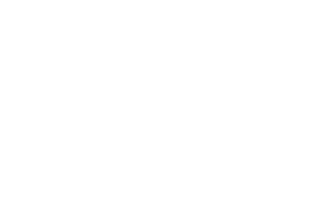 Logos_0020_Logo-Havaianas