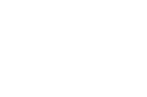 Logos_0021_Logo-GRUPO-BLANCO
