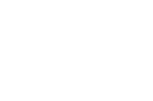Logos_0022_Logo-Firecracker