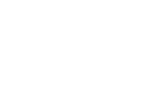 Logos_0023_Logo-Diggit