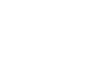 Logos_0024_Logo-diadora