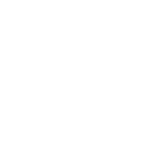 Logo Roku blanco 300x300